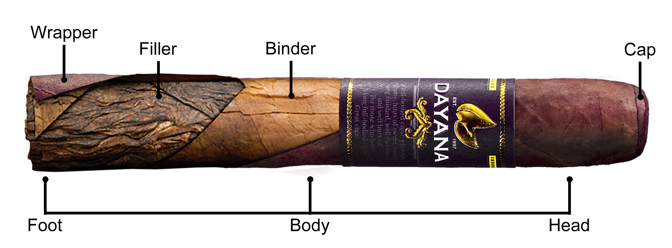 Structure of a Cigar