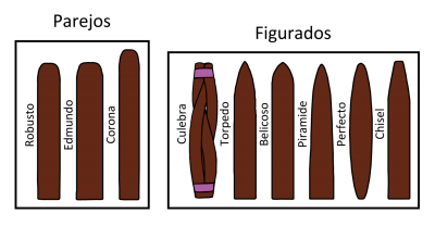 Size, Shape & Color