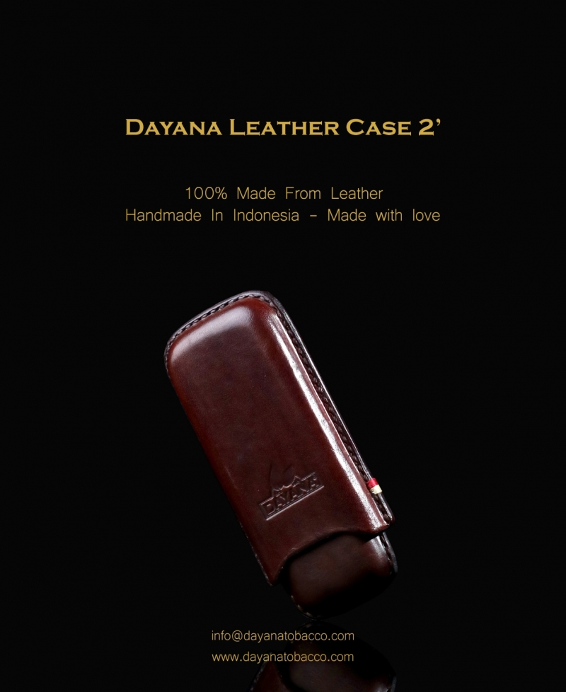 Leather Case 2 Dark Brown