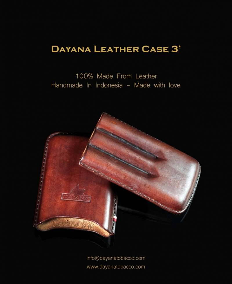 Leather Case 3 Brown